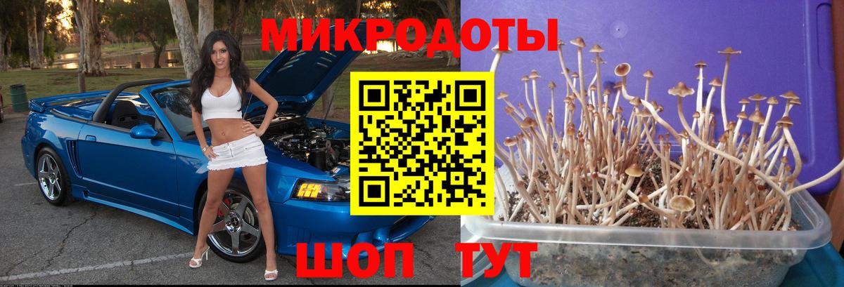 Симферополь  Псилоцибиновые грибы GOLDEN TEACHER  Вход с VPN  Галлюциногенные грибы мухоморы 